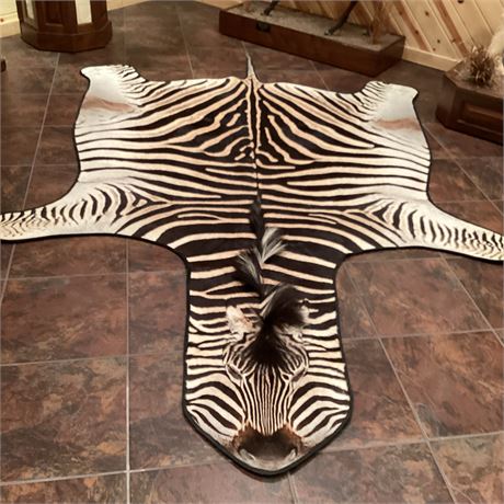 Black Colored Zebra Hide Rug, 1241⁄2“ Nose to Tip of Tail, 821⁄2“ Front Legs